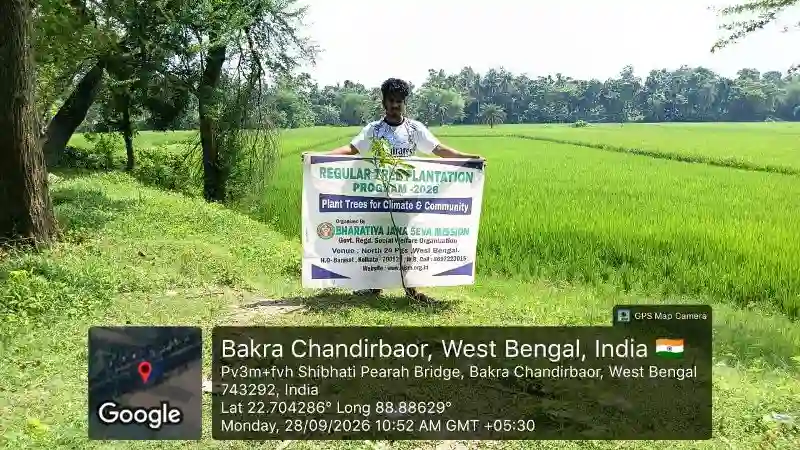Mango tree plantation supporting water resources and farming communities