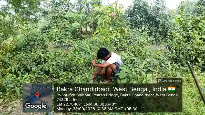 Tree plantation programme supporting agriculture and canal conservation