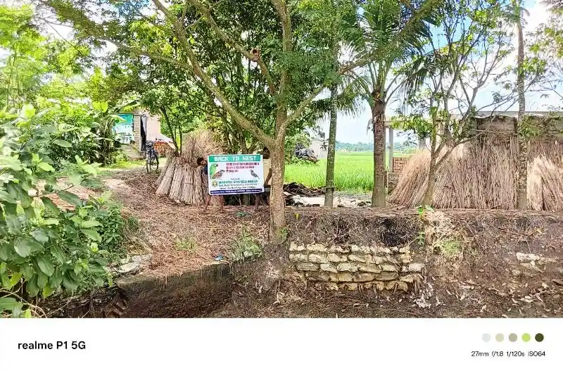 Volunteers creating safe nesting spaces for birds in West Bengal