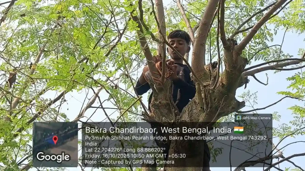 Bharatiya Jana Seva Mission volunteers supporting bird protection and nature conservation