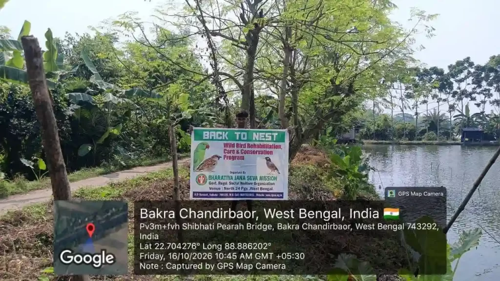 Eco-friendly bird nests installed in trees for wildlife conservation