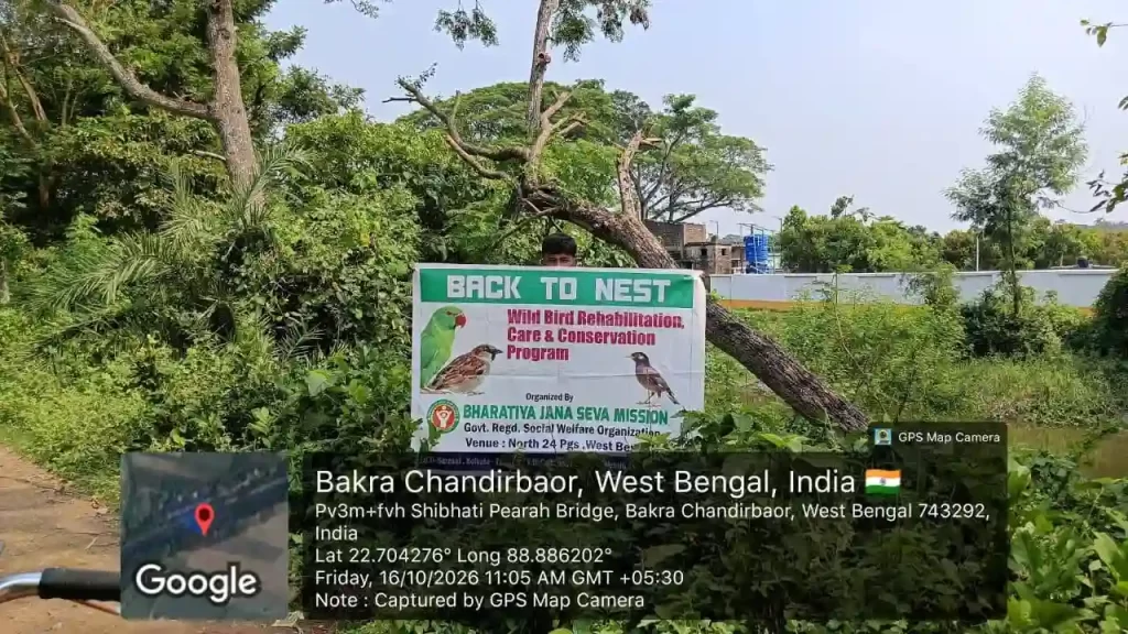 Supporting wildlife conservation in India through eco-friendly bird shelters
